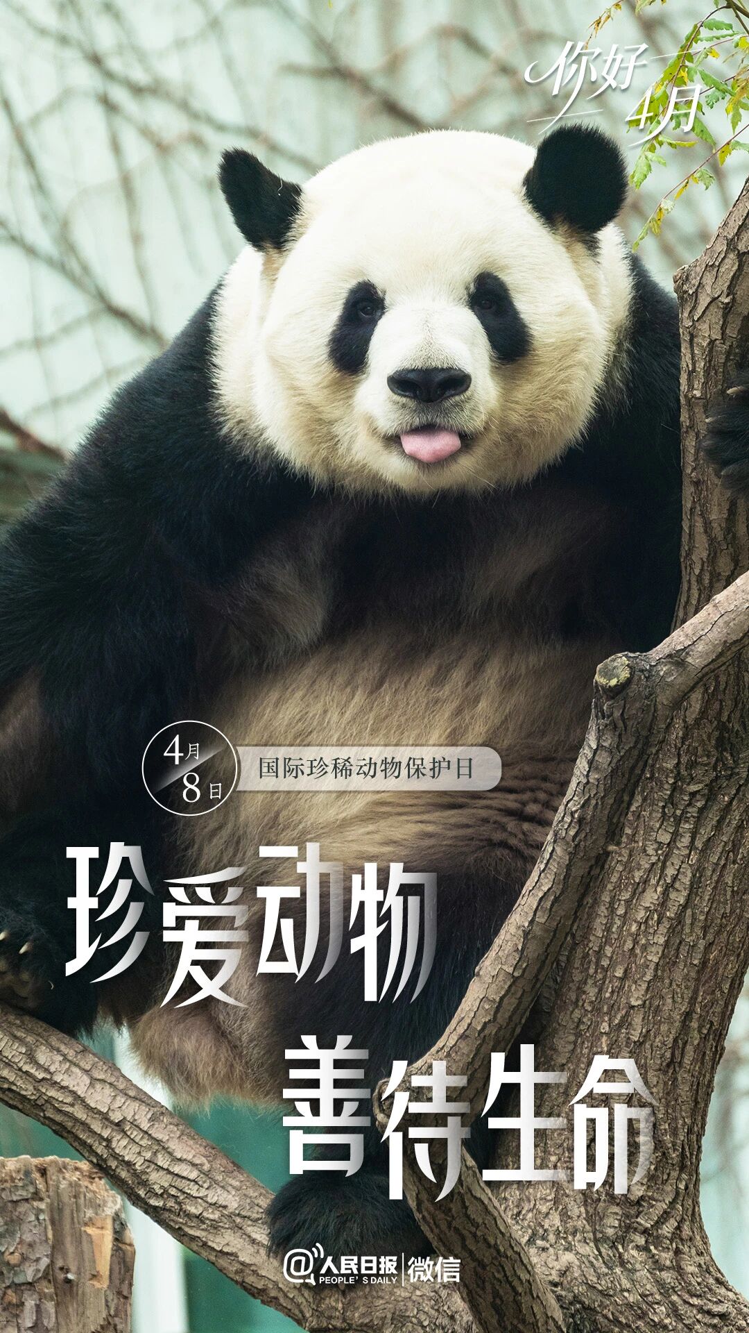 微信图片_20260408102435_1189_29.jpg