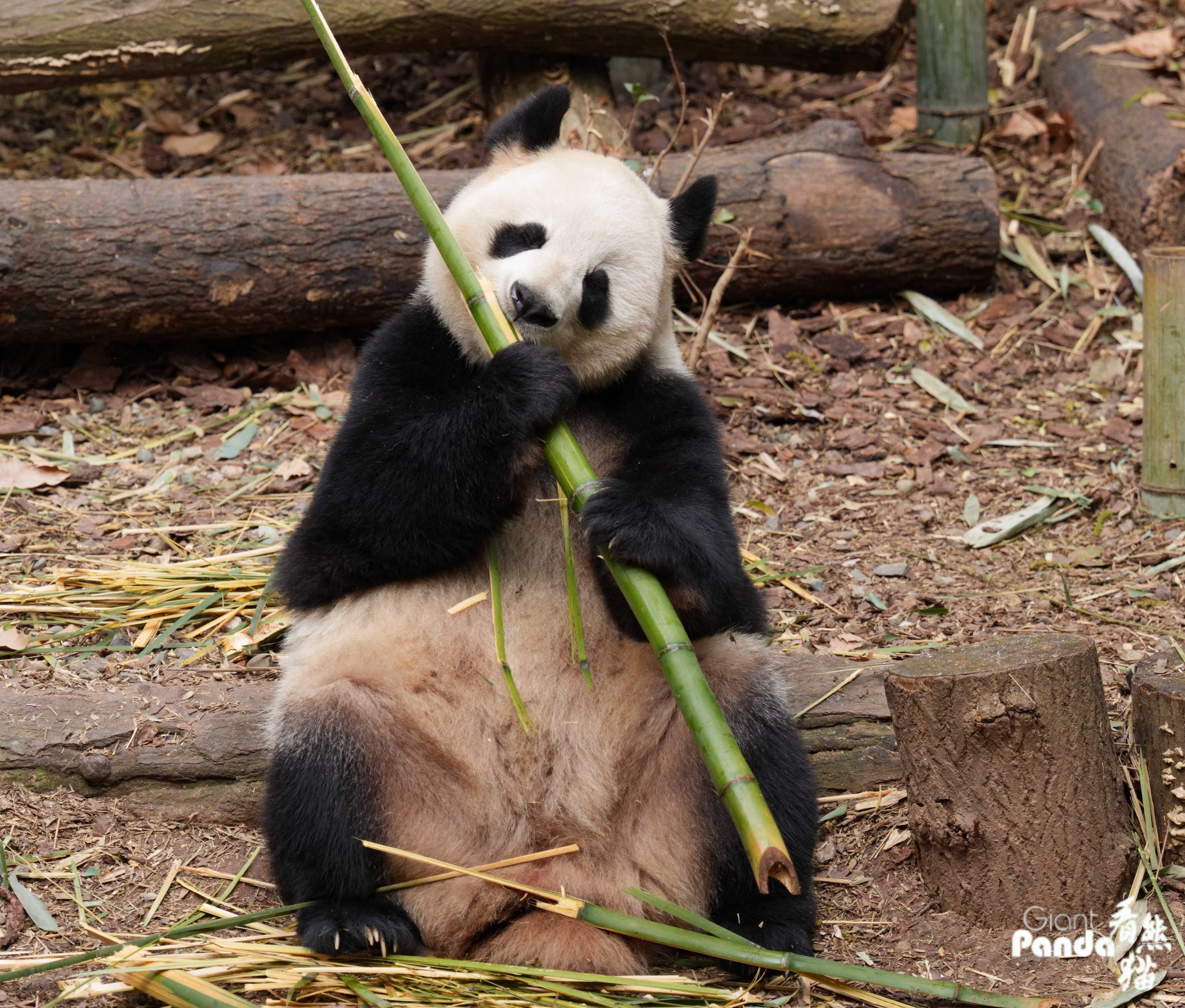 1775621300225473.jpg DSC02099_副本.jpg