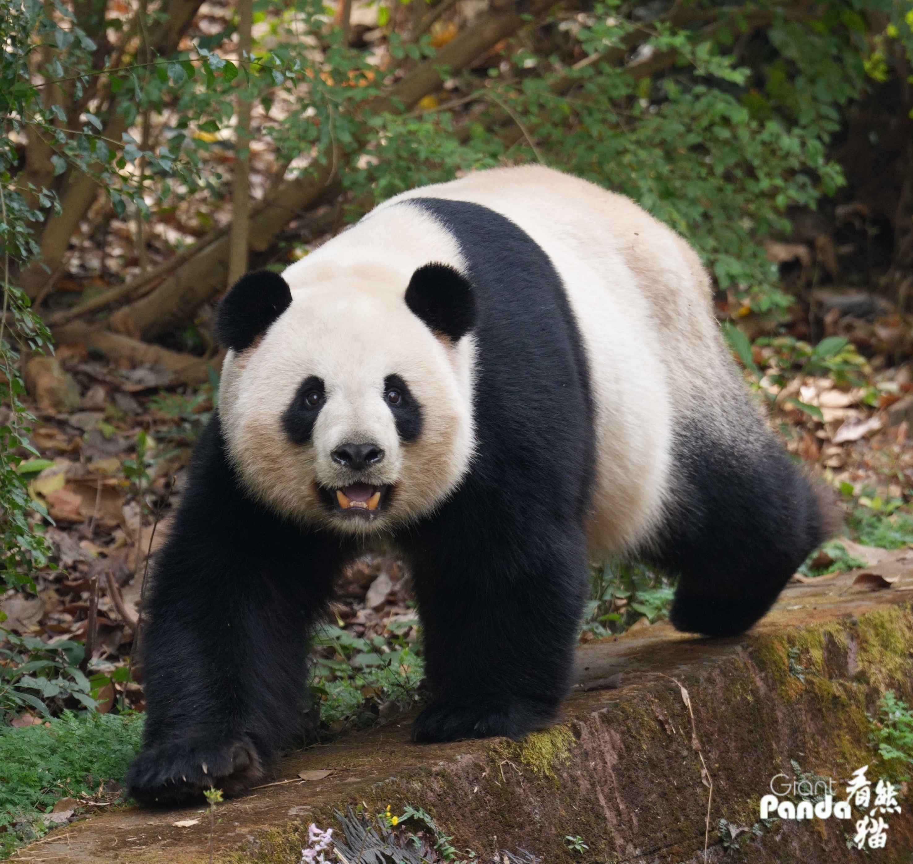 DSC02615_副本.jpg