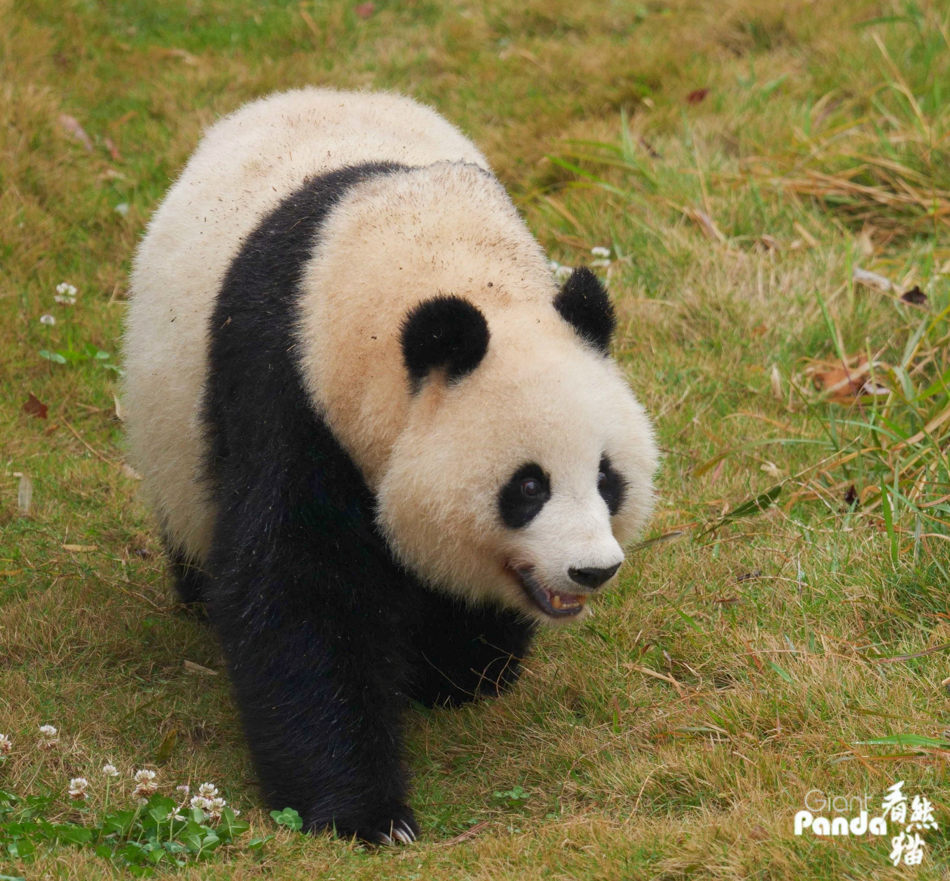 DSC03904_副本.jpg
