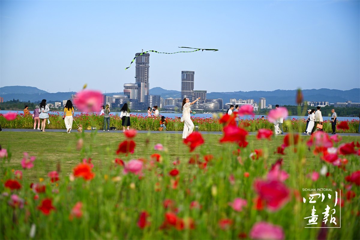 兴隆湖花海_ID_679086_署名_李昀波_原图.jpg