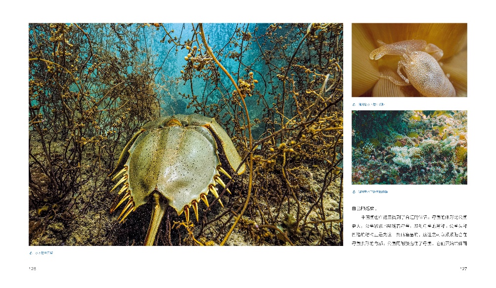 水2.jpg