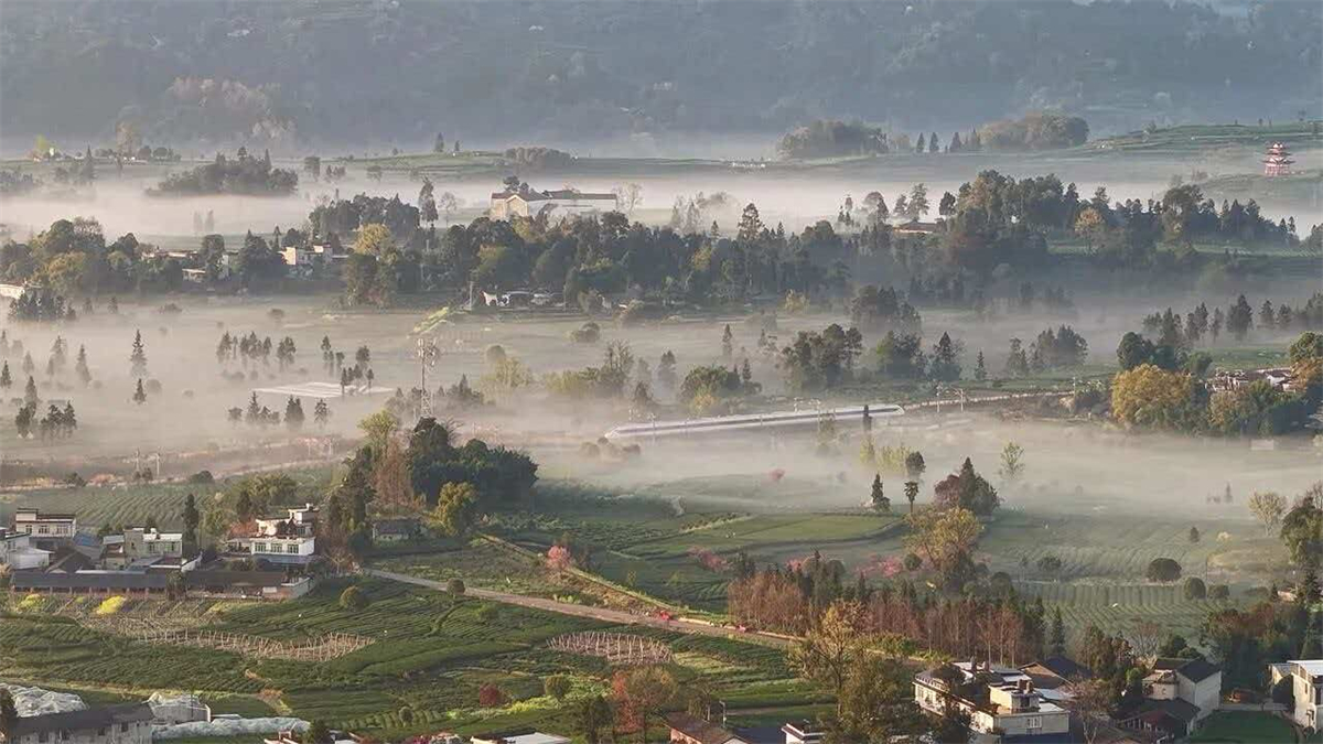 图片7.jpg