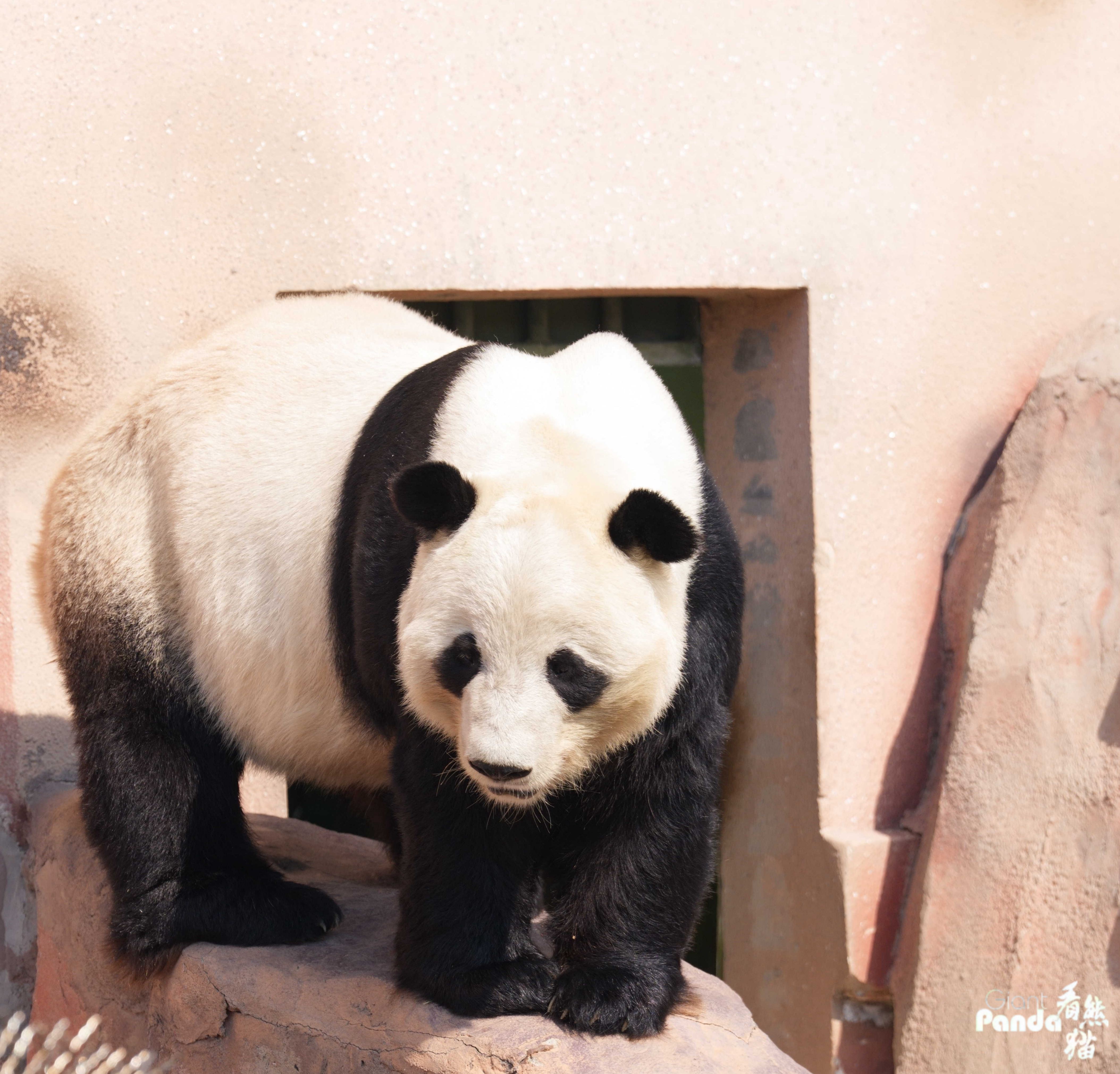 DSC01059_副本.jpg