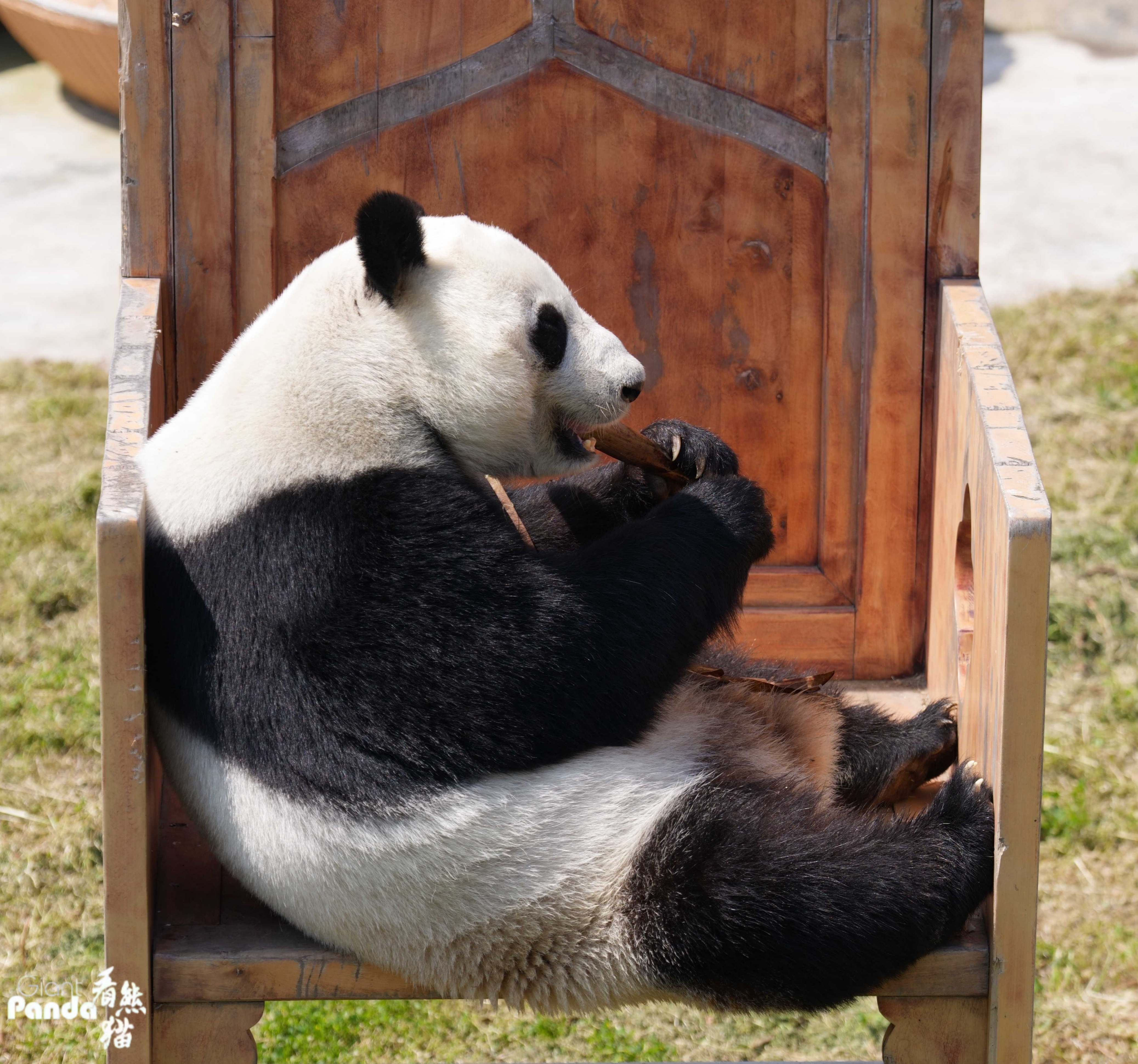 DSC01375_副本.jpg
