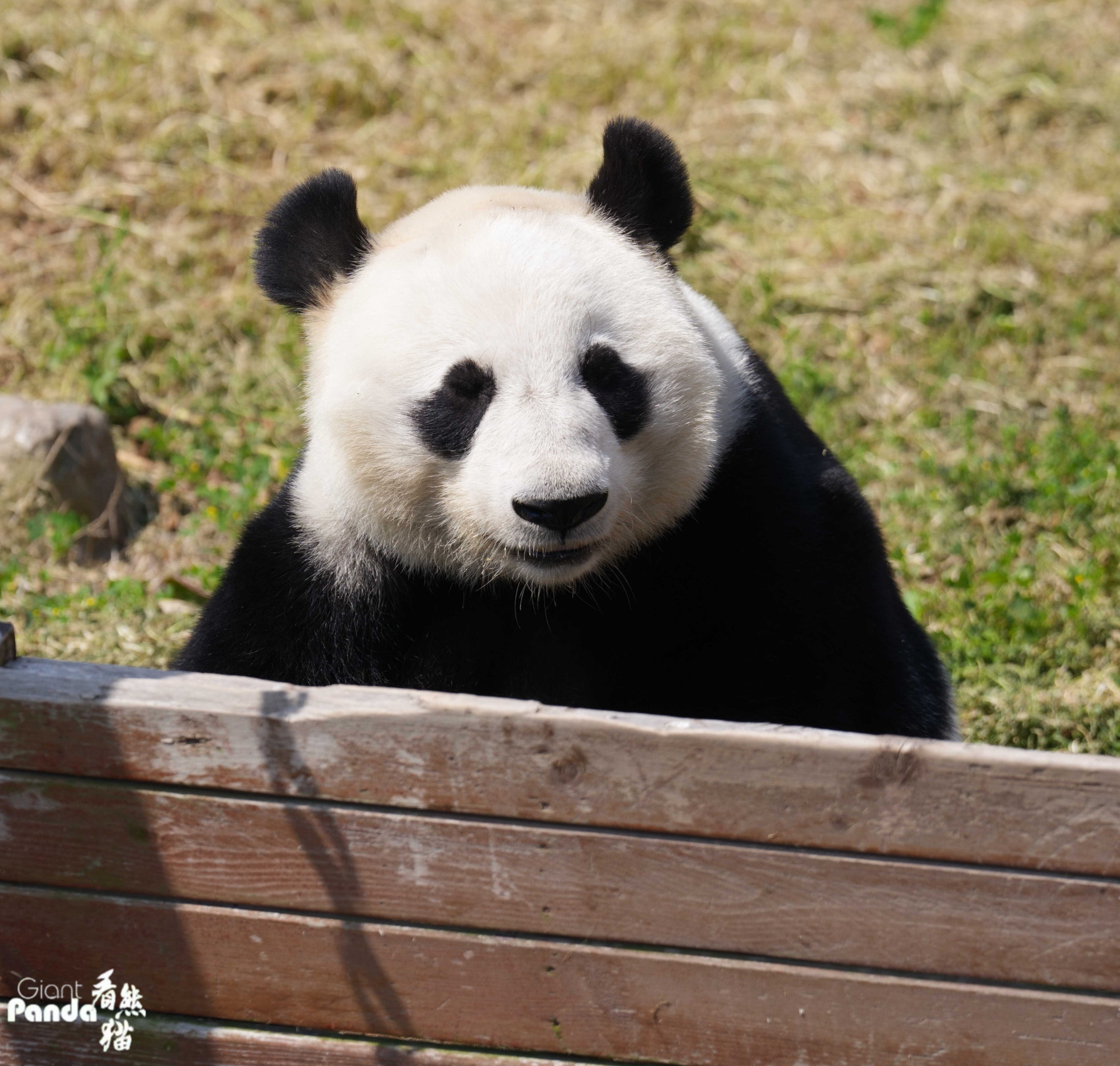 DSC01387_副本.jpg