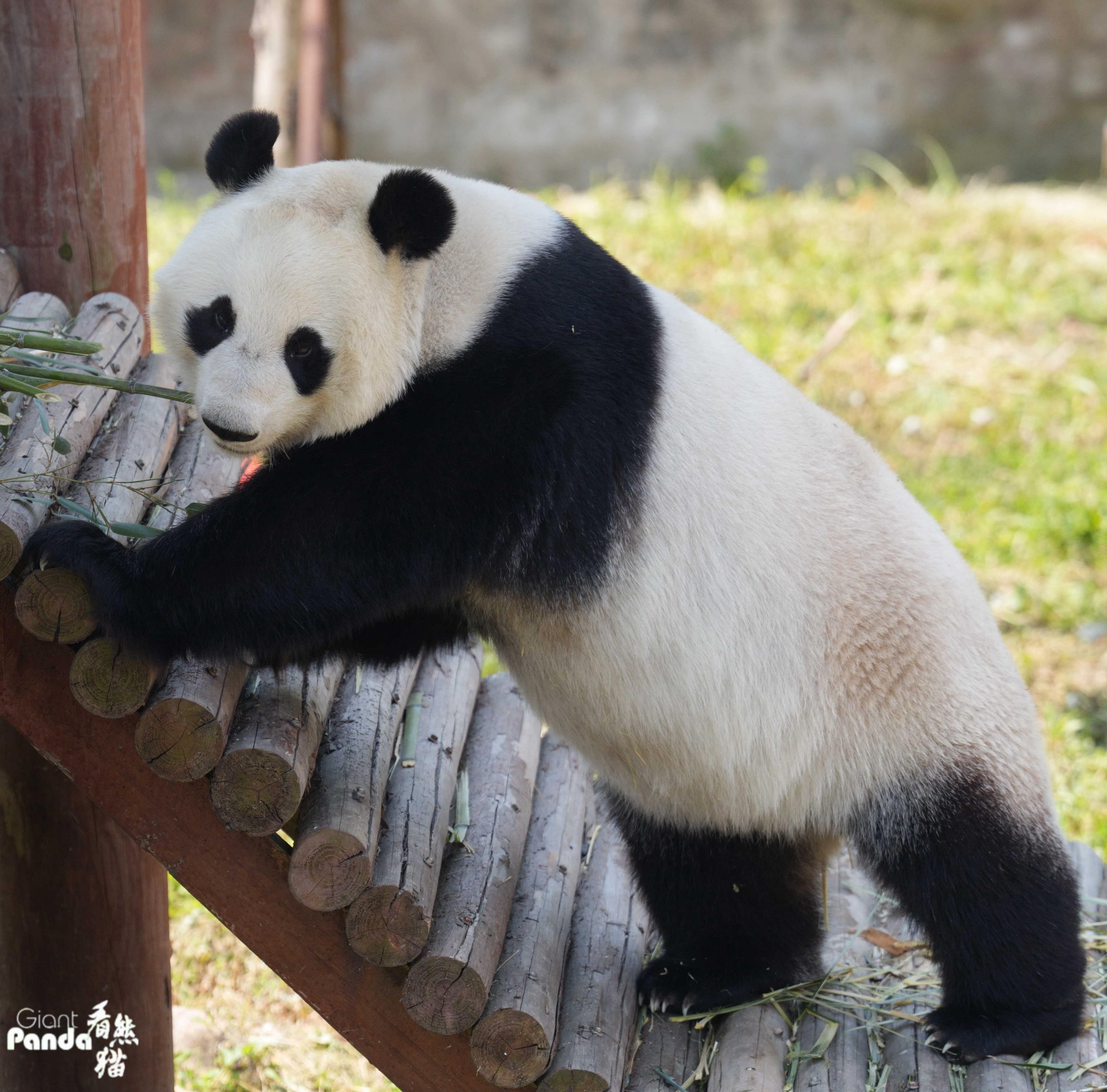 DSC01546_副本.jpg