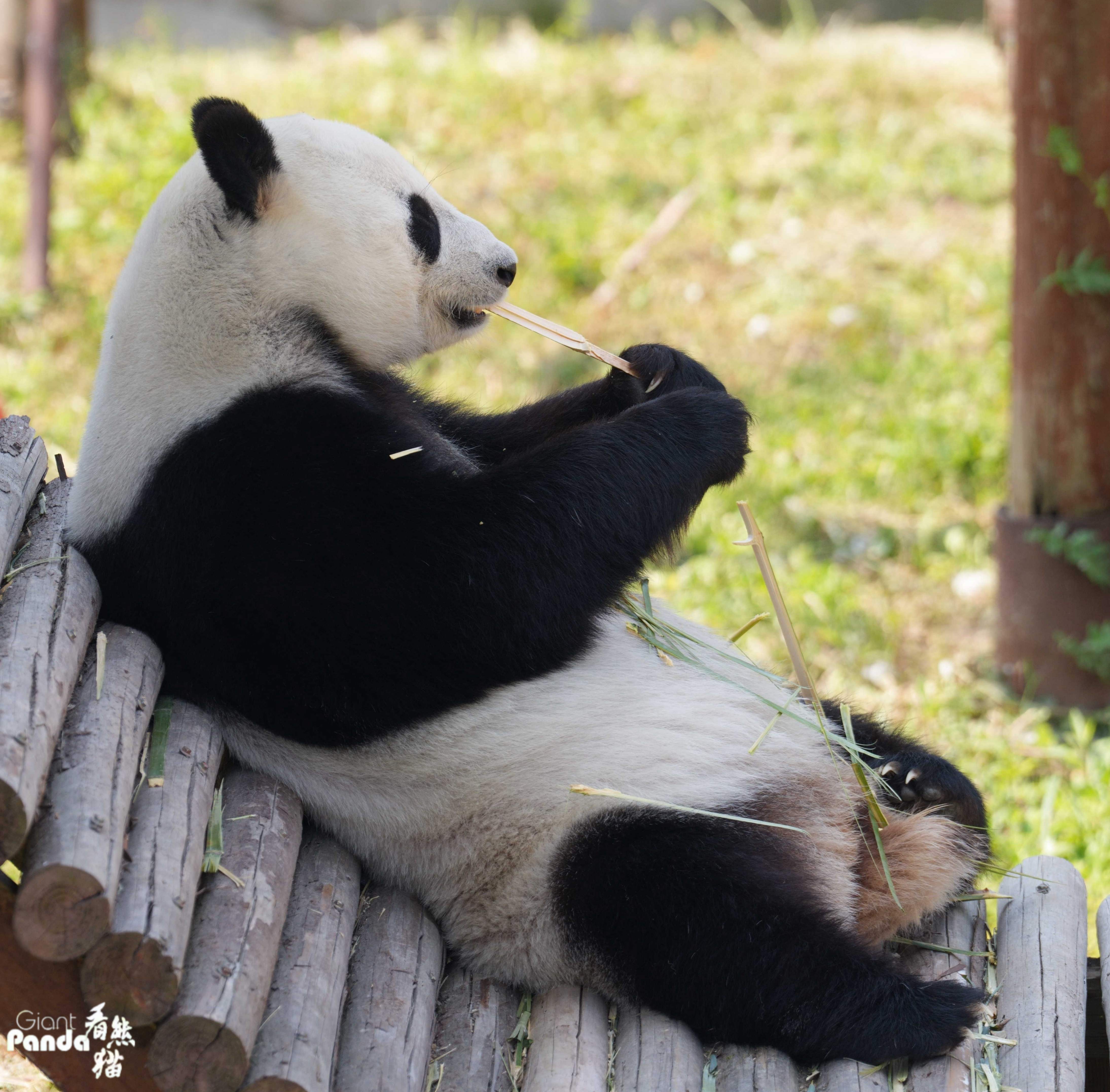 DSC01519_副本.jpg