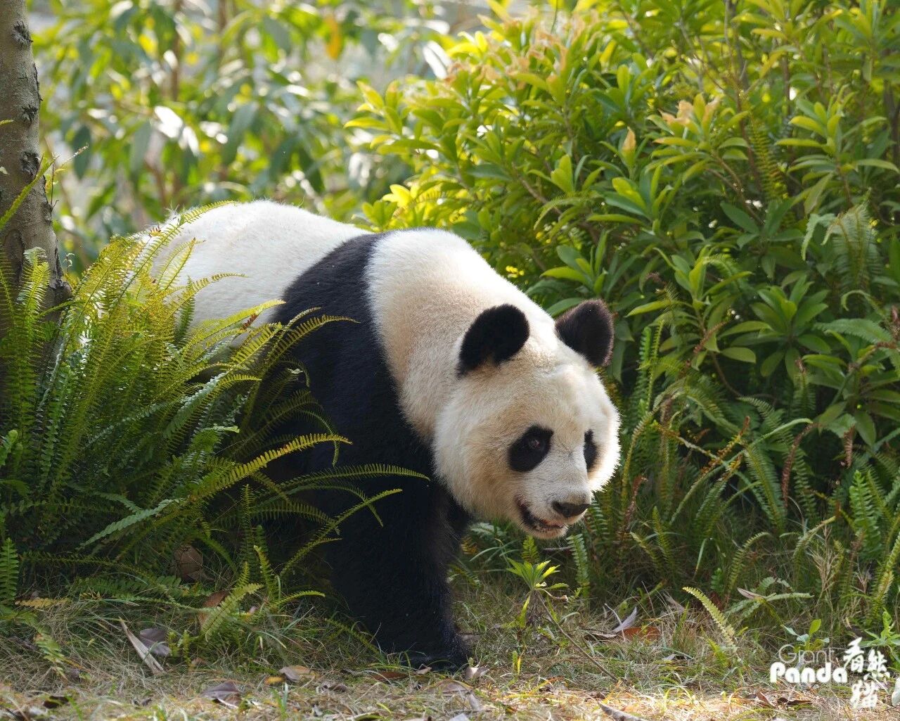 微信图片_2026-05-08_105938_217.jpg