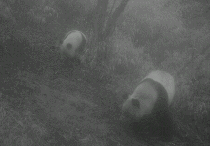 微信图片_2026-05-09_162327_746.jpg