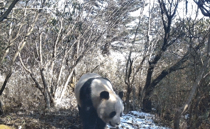 微信图片_2026-05-09_162537_649_副本.jpg