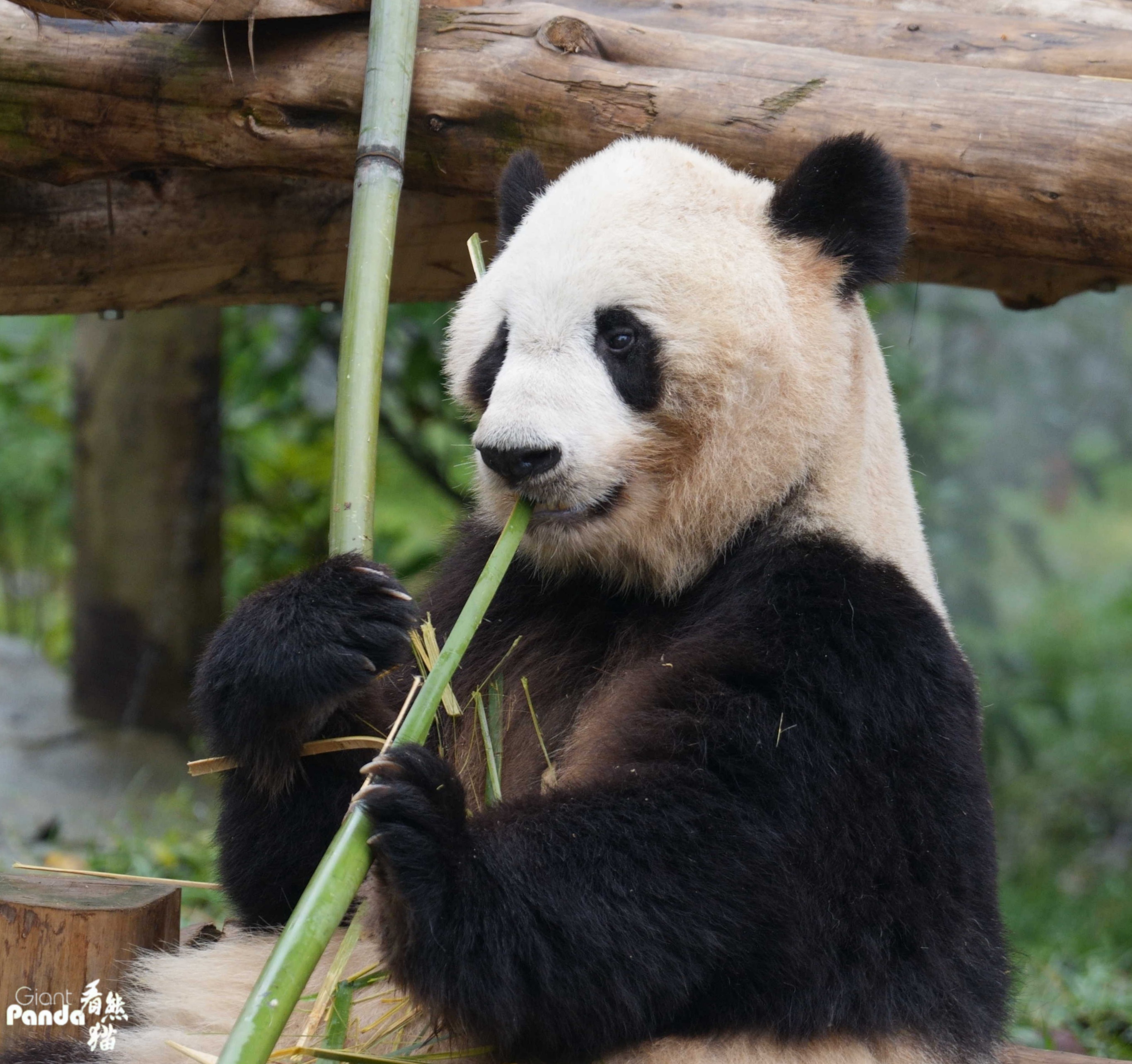 DSC02769_副本.jpg
