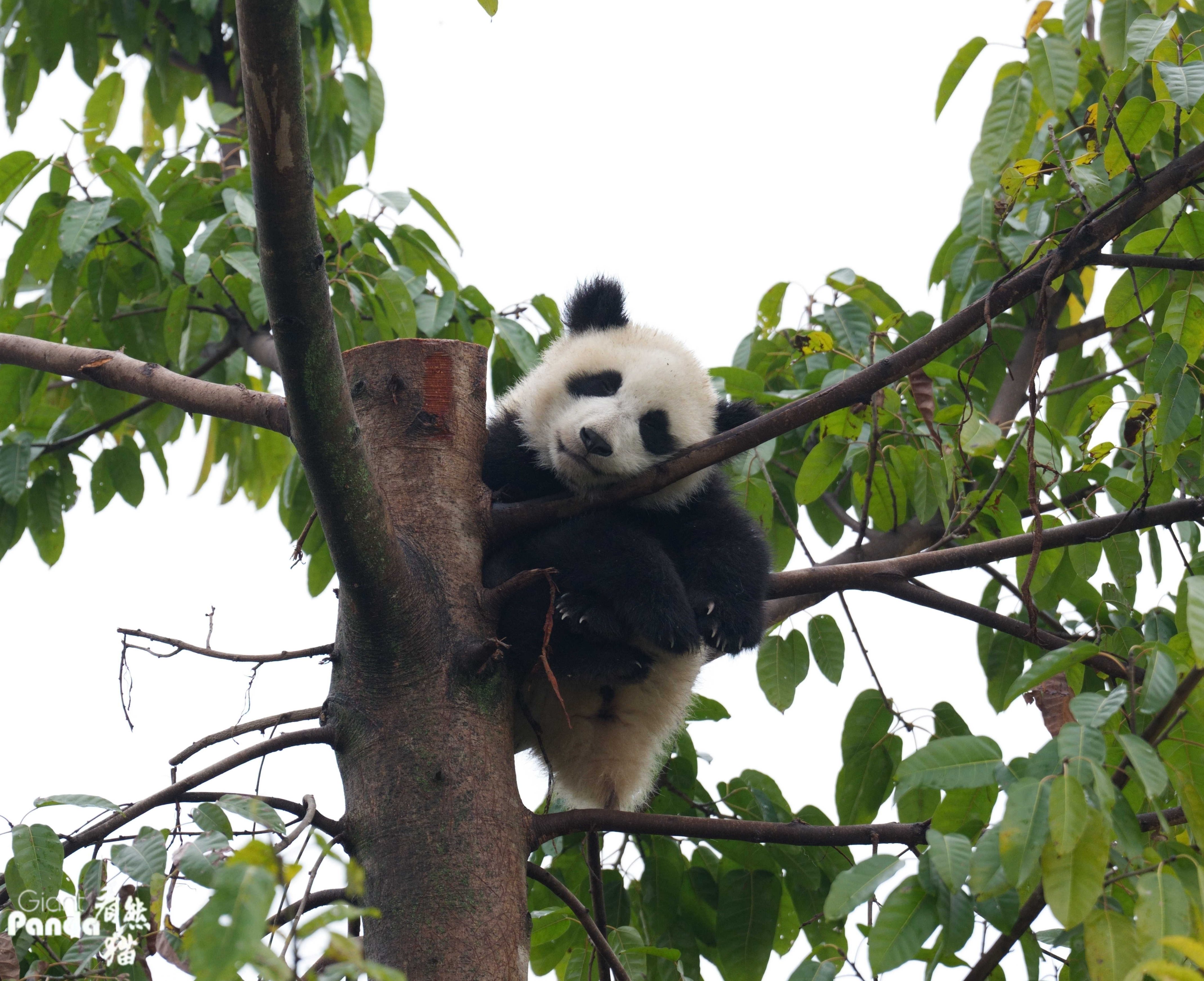 DSC03974_副本.jpg
