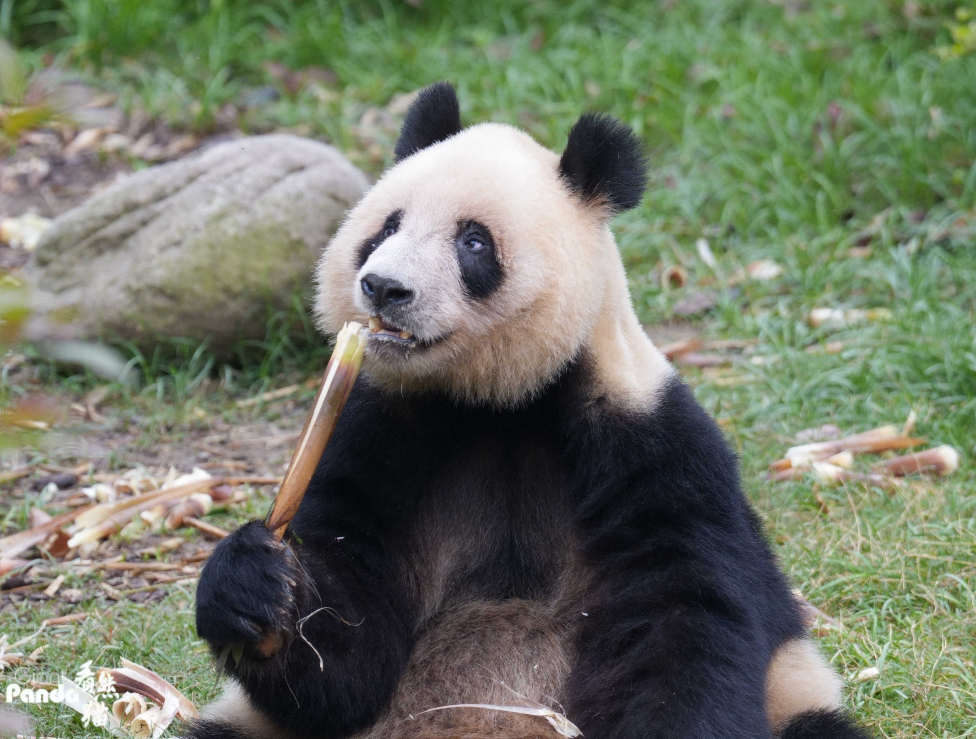 1778748390208388.jpg DSC03741_副本.jpg