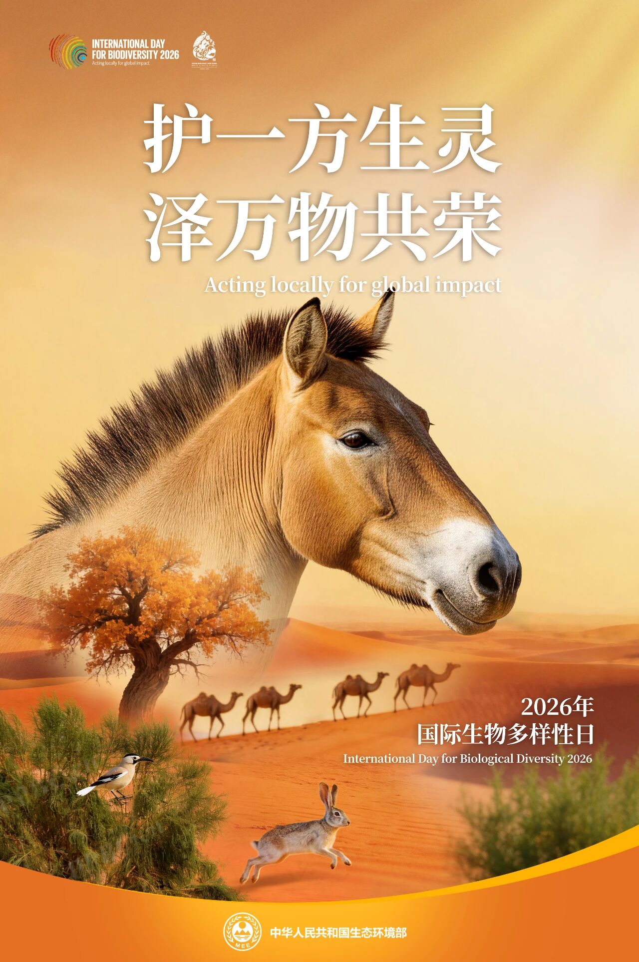 微信图片_2026-05-20_141425_738.jpg