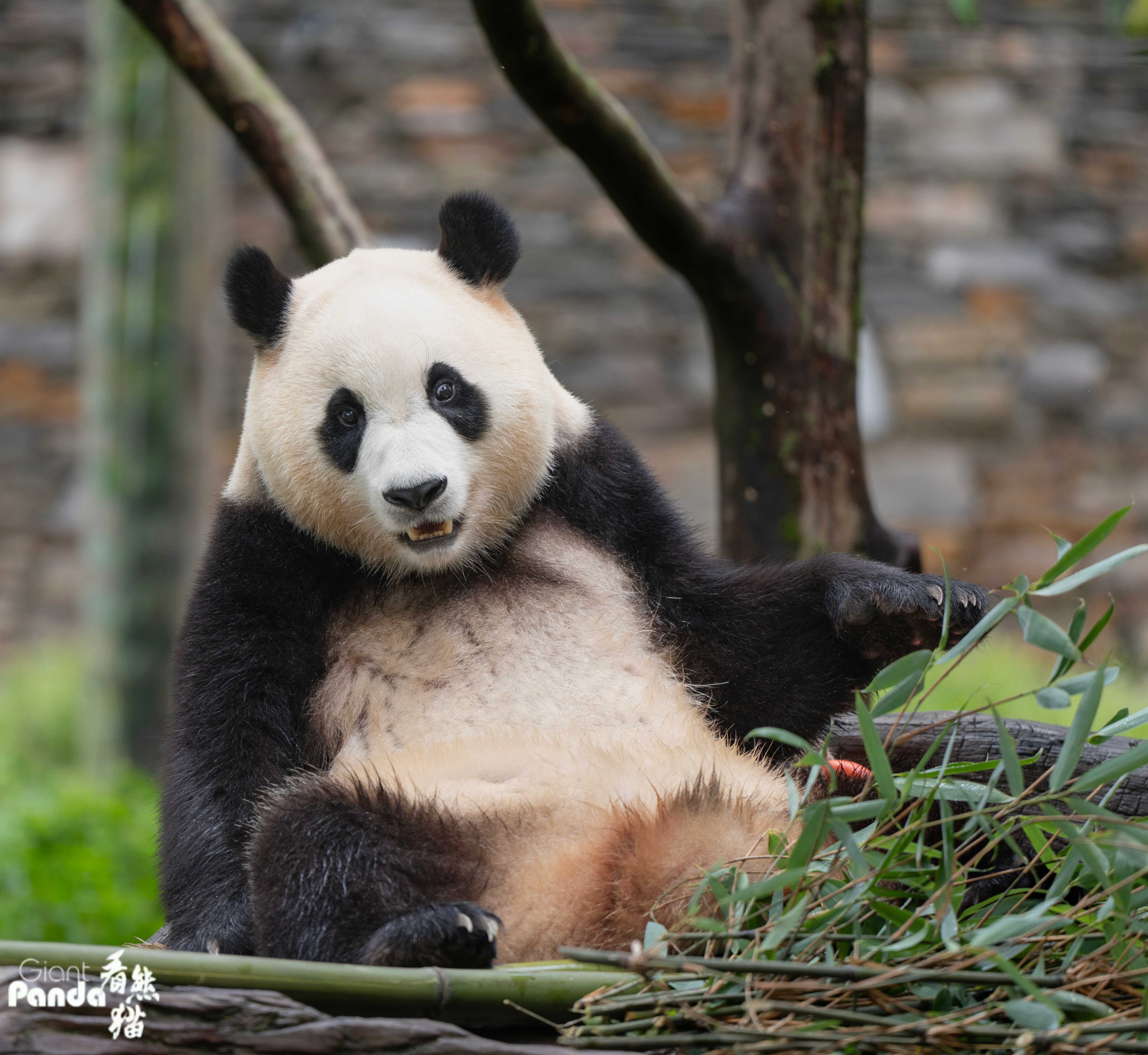 DSC09028 拷贝_副本.jpg