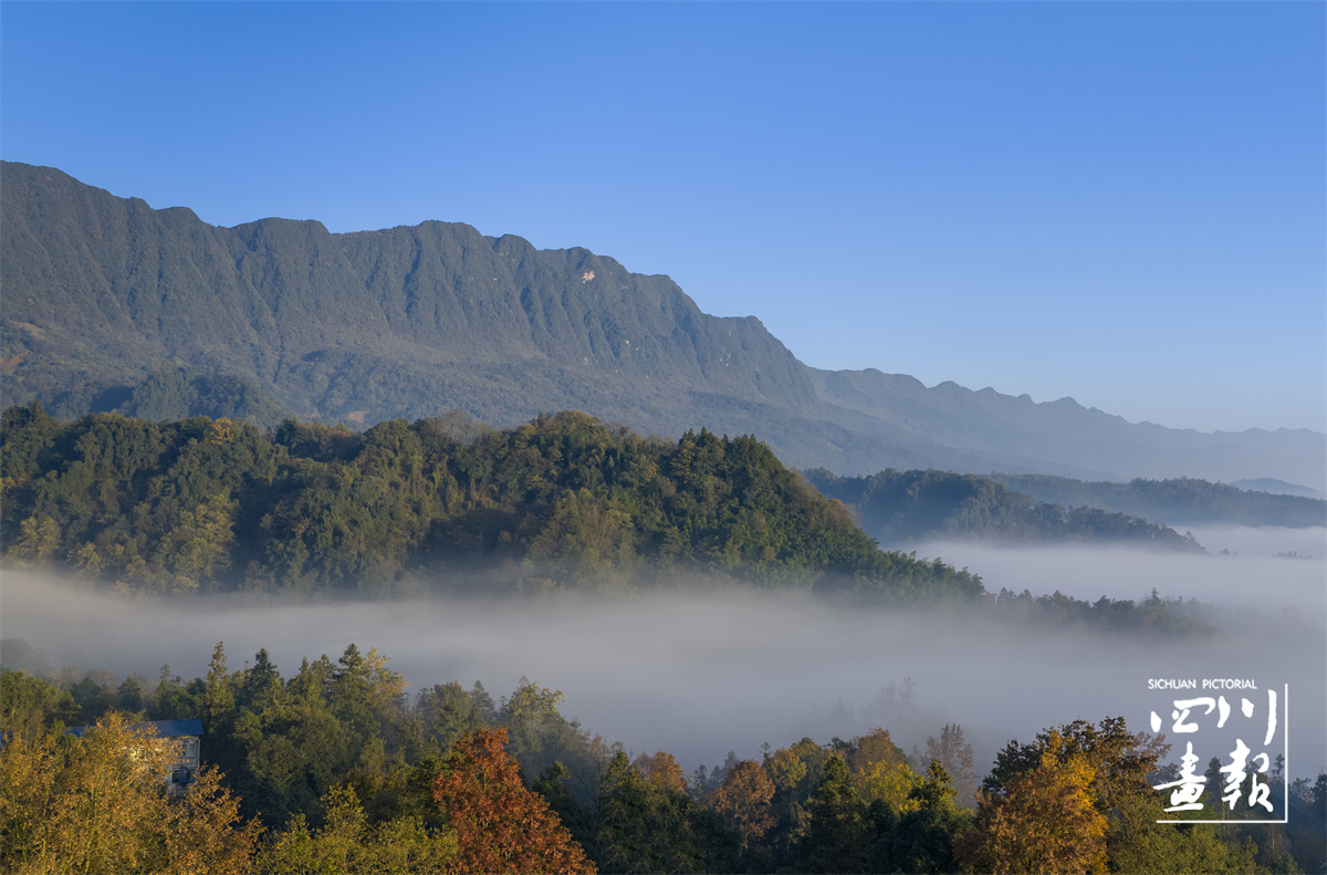 四川碧峰峡风景区：出现平流雾景观_ID_660355_署名_刘国兴_原图.jpg
