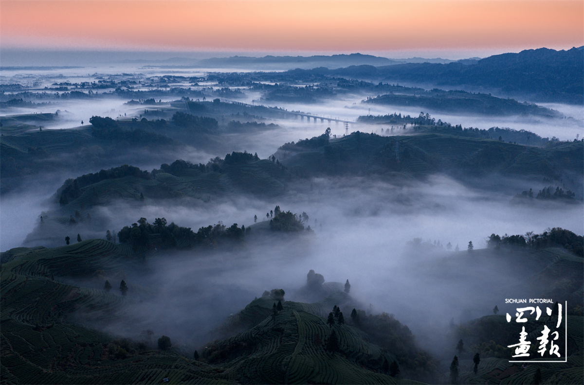 雅安名山茶山风光_ID_671450_署名_王治_原图.jpg