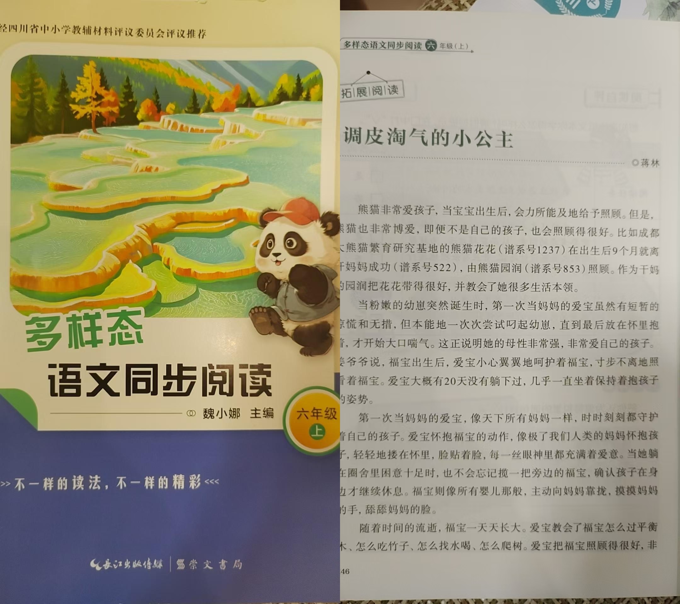 64b3b8f354a739bbb0f51cec47d35172_副本.jpg